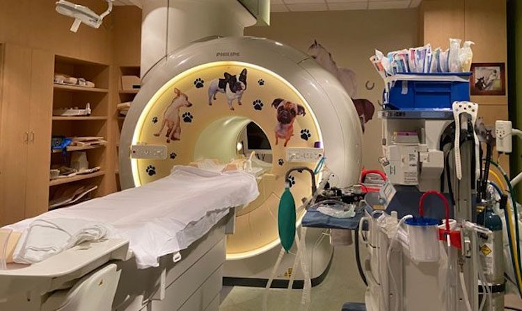 Phoenix Children’s Hospital Helps Children Through MRIs Without Anesthesia