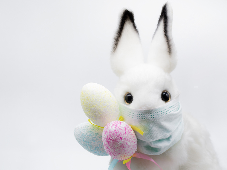 Where To Get Photos With The Easter Bunny