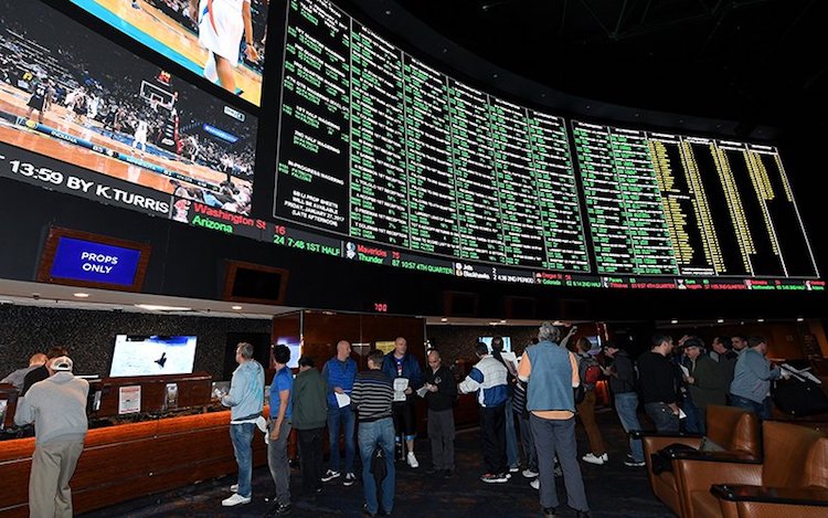 Judge Refuses To Block Law Allowing Sports Betting In Arizona