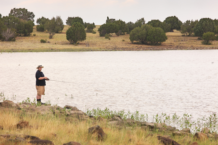 Free Fishing in Arizona Public Waters on June 5th