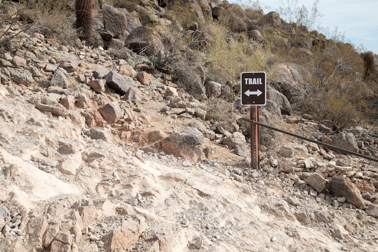 Woman Found Dead On Popular Phoenix Hiking Trail