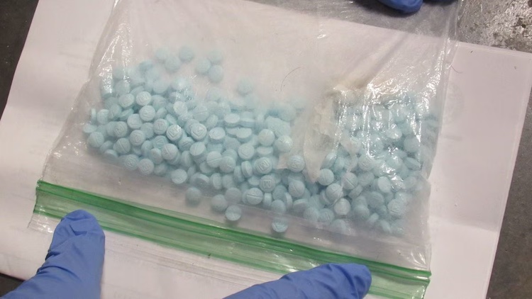 MCSO Seizes 440 + Suspected Fentanyl Pills And Other Drugs From Newly Booked Inmates
